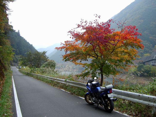 051114-033.jpg 640×480 67K